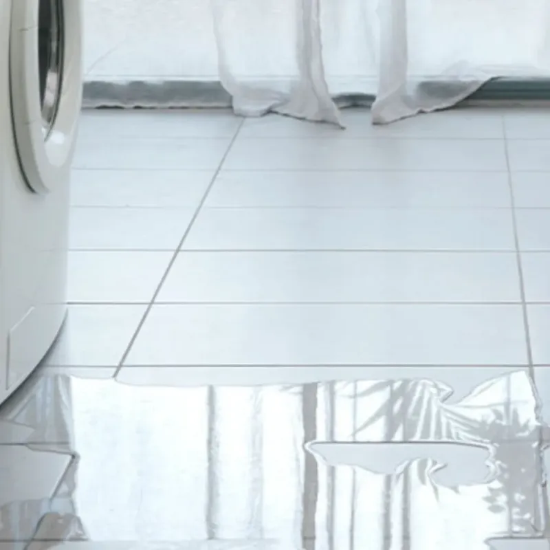 Appliance Leak Cleanup in Rochester, WA