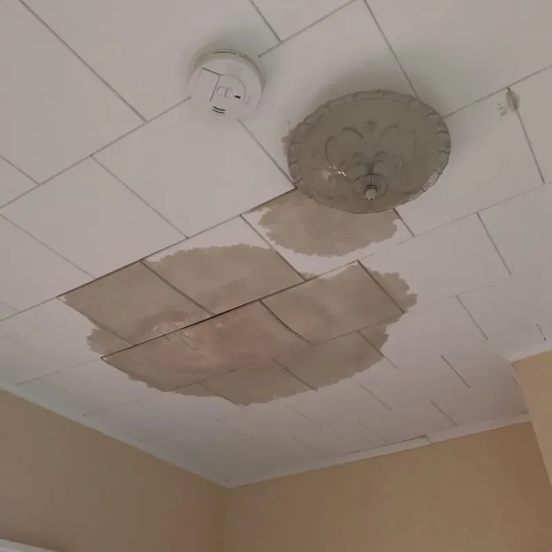 Ceiling Water Damage Repair in Rochester, WA