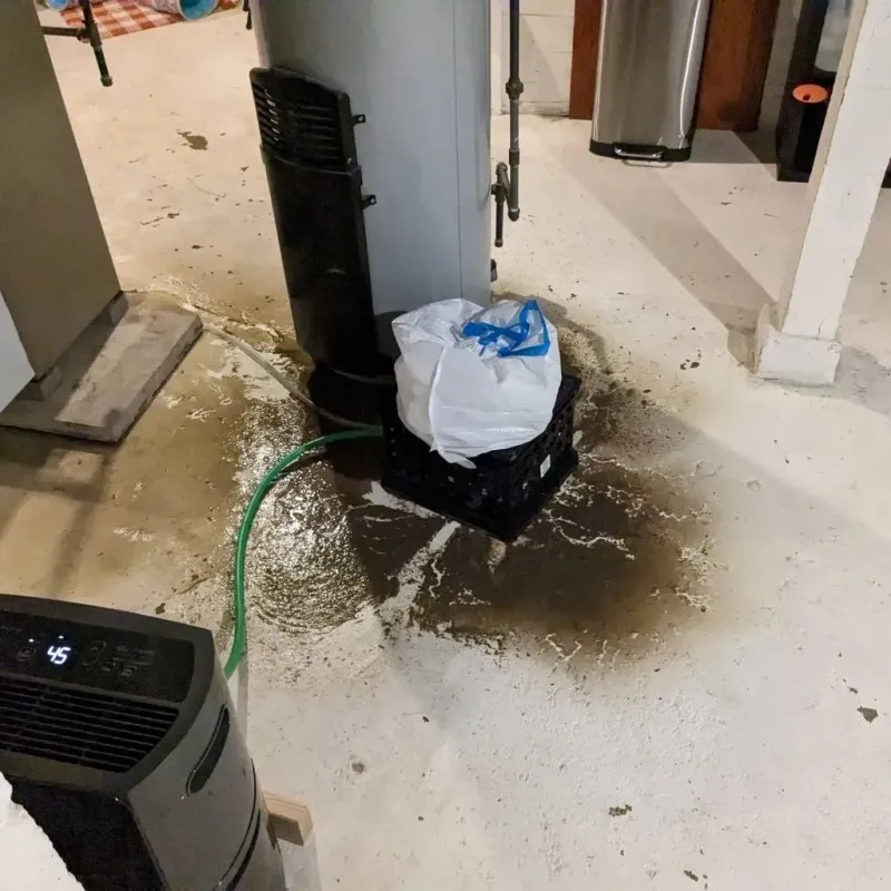 Sewage Backup Cleanup Service in Rochester, WA